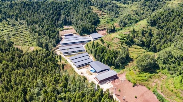 湖州吴兴·广元青川 山海情深，携手奔康的网络开发建设之路