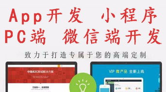 全渠道数字化时代 从B2C商城到微信小程序的全方位网络开发建设方案